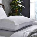The Fine Bedding Company - This is Sleep Back Sleeper Pillow additional 5