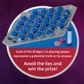 Bridge of Lies Board Game additional 4