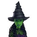 Wicked - Elphaba Fashion Doll additional 4