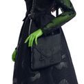 Wicked - Elphaba Fashion Doll additional 3