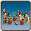 LEGO Harry Potter - Hogwarts Castle: Herbology Class additional 7