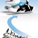 EUGY Dog Hope additional 7
