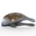 EUGY Manatee additional 3