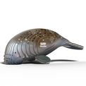 EUGY Manatee additional 2