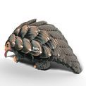 EUGY Pangolin additional 10