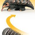 EUGY Pangolin additional 8