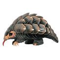 EUGY Pangolin additional 5