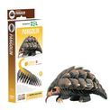EUGY Pangolin additional 1