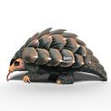 EUGY Pangolin additional 3