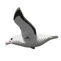 EUGY Royal Albatross additional 6