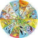 Gibsons - RSPB Birds of the Year 500 Piece Circular Jigsaw Puzzle additional 2