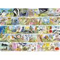 Gibsons - RSPB Birdsong &amp; Bluebells 1000 Piece Jigsaw Puzzle additional 2