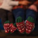 Wrendale Designs - Seasons Tweetings Fair Isle Robin Socks additional 2