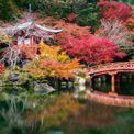 Ravensburger - Beautiful Gardens Kyoto Japan 1000 Piece Jigsaw Puzzle additional 2