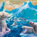 Ravensburger - Polar Bear Kingdom - XXL 300 piece - 12947 additional 2