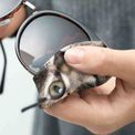 pikkii. - Cat Glasses Cloth additional 3
