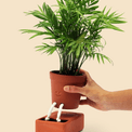 pikkii. - Self Care Planter additional 4