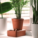 pikkii. - Self Care Planter additional 5