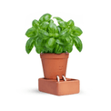 pikkii. - Self Care Planter additional 6