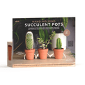pikkii. - Hand Holding Succulent Pots Set of 3 additional 2