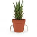 pikkii. - Hand Holding Succulent Pots Set of 3 additional 5