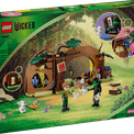 LEGO Wicked - Elphaba's Retreat additional 3