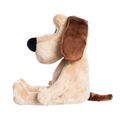Aurora - Gromit additional 2