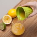 Zeal - Citrus Juicer Lime Yellow additional 2