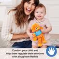 Miss Rachel - Herbie Cuddle &amp; Comfort Doll additional 8