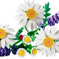 LEGO Botanicals - Daisies additional 2