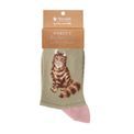 Wrendale Designs - Sock Feline Fabulous Cat additional 1