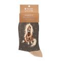 Wrendale Designs - Sock Gloria Horse Sock additional 1