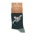 Wrendale Designs - Sock Swimming School Turtle Sock additional 1