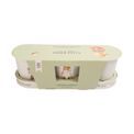 Wrendale Designs - Woodland Set of 3 Herb Pots with Tray additional 1