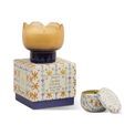 Paddywax - Tulip Orange and Blue Glass Candle Garden &amp; Grove additional 4
