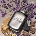 Coach - Pure Platinum Eau De Parfum 40ml additional 2