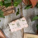 Toasted Crumpet - Flopsy Bunny Blackberries &amp; Roses Soap 190g additional 3