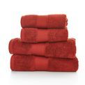Deyongs - Bliss Pima Cotton Towel Paprika additional 1