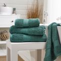Deyongs - Bliss Pima Cotton Towel Seagrass additional 1