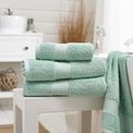 Deyongs - Bliss Pima Cotton Towel Spearmint additional 2