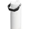 Stanley - The IceFlow™ Flip Straw Bottle 2.0 0.47L Chalk additional 3