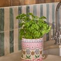 Cath Kidston - Spitalfields Silk Plant Pot with Tray additional 6