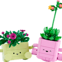 LEGO Botanicals - Rocking Plants additional 4