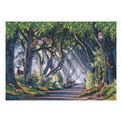 House of Puzzles - Dark Hedges 500 Piece Jigsaw Puzzle additional 2