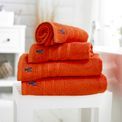 Lobster Creek - Kaleidoscope Towel Ginger additional 2