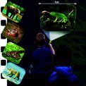 Animal Torch &amp; Projector additional 15