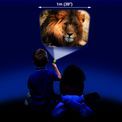 Animal Torch &amp; Projector additional 16