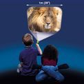 Animal Torch &amp; Projector additional 24