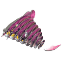 EUGY Asian Arowana additional 4