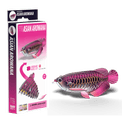 EUGY Asian Arowana additional 10